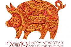 Hand drawn zentangle ornate pig. 2019 chinese new year and christmas greeting cards.