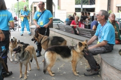 img_8286_45029308452_o