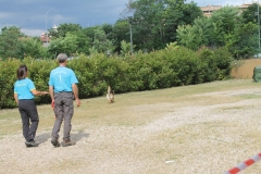 img_8302_44357340804_o