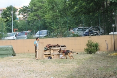 img_8305_45077479021_o