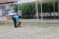 img_8308_30140519807_o