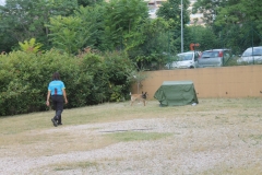 img_8309_30140520637_o
