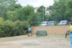 img_8310_43264721610_o