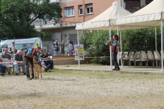 img_8321_44166583795_o