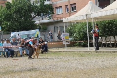 img_8323_44166586425_o