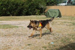 img_8324_31204660328_o