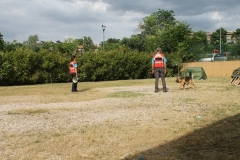 img_8326_31204662828_o