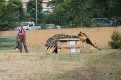 img_8328_44357296024_o