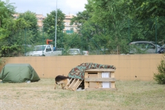 img_8329_31204665748_o