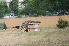 img_8330_31204667018_o