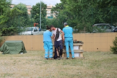 img_8332_30140539157_o