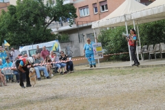 img_8337_45029349492_o