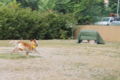 img_8338_30140544737_o