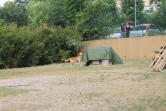 img_8340_45029352092_o
