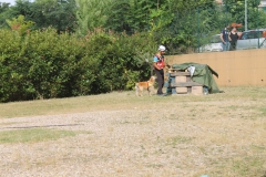 img_8341_30140547097_o