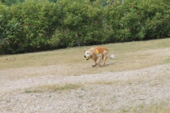 img_8342_43264742240_o