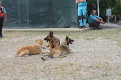 img_8347_45077499931_o