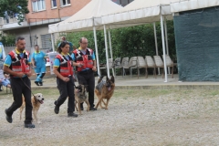 img_8351_43264748250_o