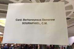 incontro-con-il-card-berhaneyesus-demerew-souraphiel-cm_15921311863_o