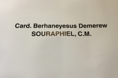 incontro-con-il-card-berhaneyesus-demerew-souraphiel-cm_16540439792_o