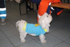 fb_img_1529412955858_44481738044_o