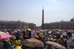 misericordie-e-fratres-incontrano-papa-francesco_14428530345_o
