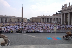 misericordie-e-fratres-incontrano-papa-francesco_14448660613_o