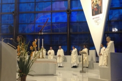 pellegrinaggio-2014-delle-misericordie-al-santuario-della-madonna-del-divino-amore_14171808257_o