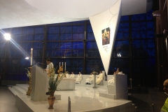 pellegrinaggio-2014-delle-misericordie-al-santuario-della-madonna-del-divino-amore_14171848907_o