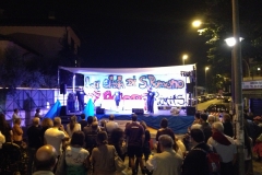 san-romano-in-festa-2014_15348148520_o