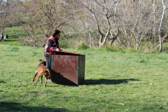 img_1357_37_45049948152_o