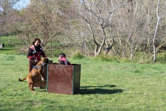 img_1358_38_31225470418_o