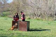 img_1359_39_45049949512_o