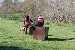 img_1361_41_44378711324_o