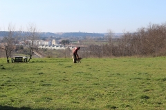 img_1364_44_44378713764_o