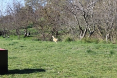 img_1367_47_45049956072_o