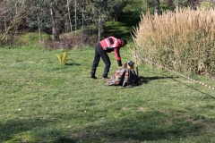 img_1374_54_31225476098_o
