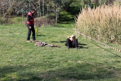 img_1375_55_45098856981_o
