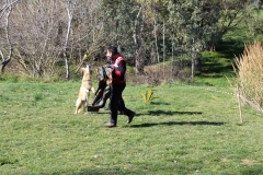 img_1377_57_45049971072_o