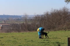 img_1384_30161168227_o
