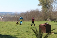 img_1385_45098866601_o