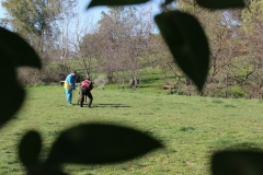 img_1387_63_45098870461_o