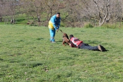 img_1389_65_45098875091_o