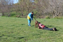 img_1390_43285466700_o