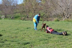 img_1391_66_45098879651_o