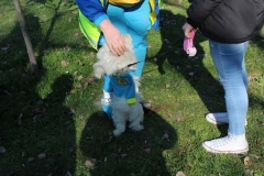 img_1393_45098883301_o
