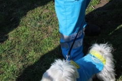img_1403_72_45049900452_o